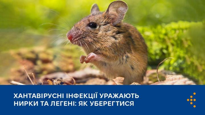 Заходи з профілактики хантавірусної інфекції