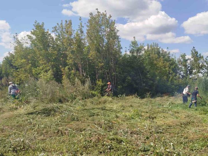 БЛАГОУСТРІЙ НІКОЛИ НЕ ЗАКІНЧУЄТЬСЯ
