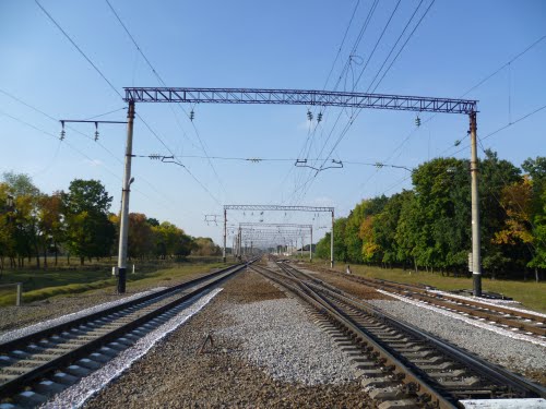 Трагедія на залізничних коліях: у Кагарлику потяг збив підлітка