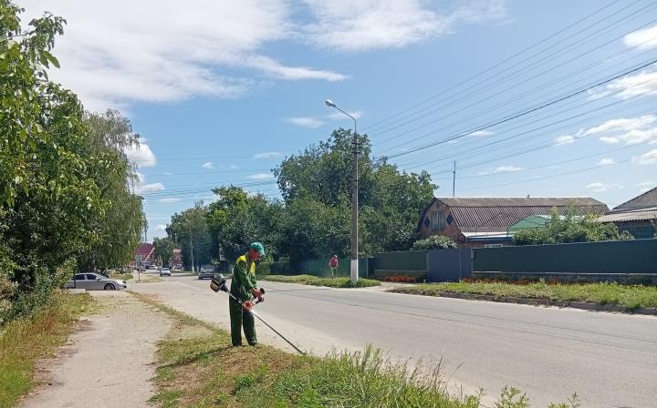 Обкошування зелених зон