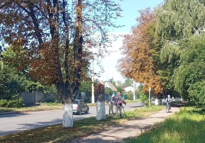 Обкошування зелених зон