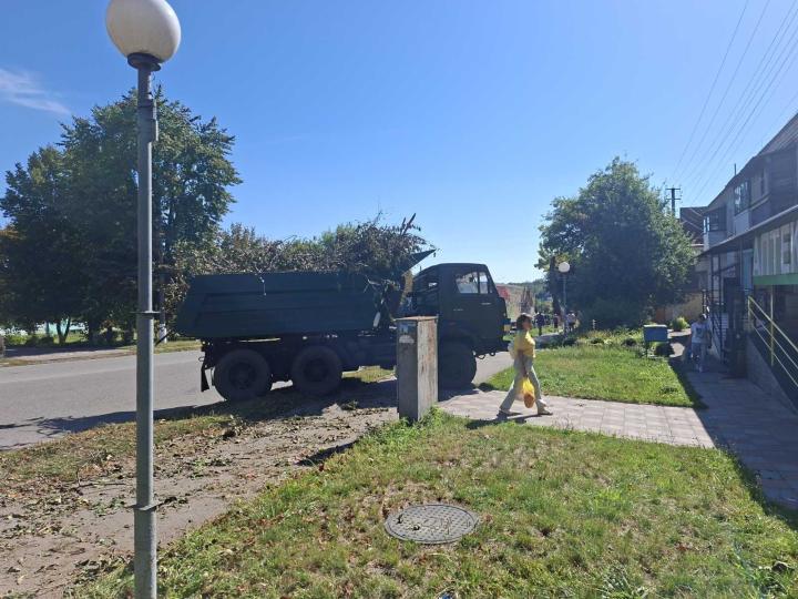 Прибирання негабаритного сміття