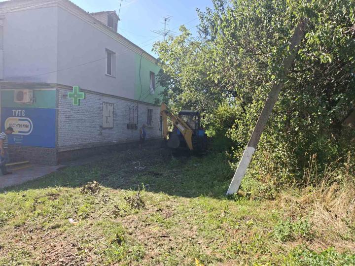 Прибирання негабаритного сміття