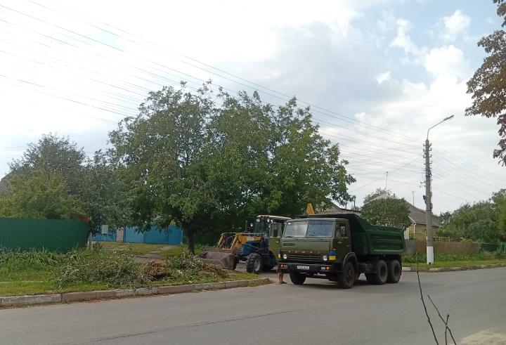 Вивезення сміття з узбіч вул. Каштанової