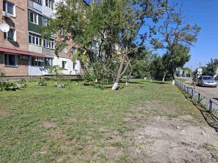 Обкошено прибудинкову територію по вул. Столичній, 5