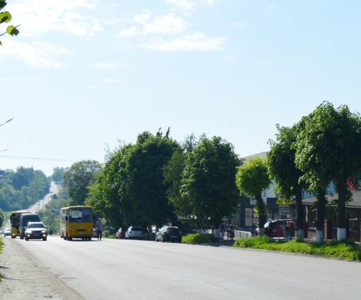 DSC_0042.JPG
