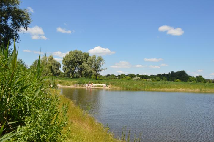DSC_0108.JPG