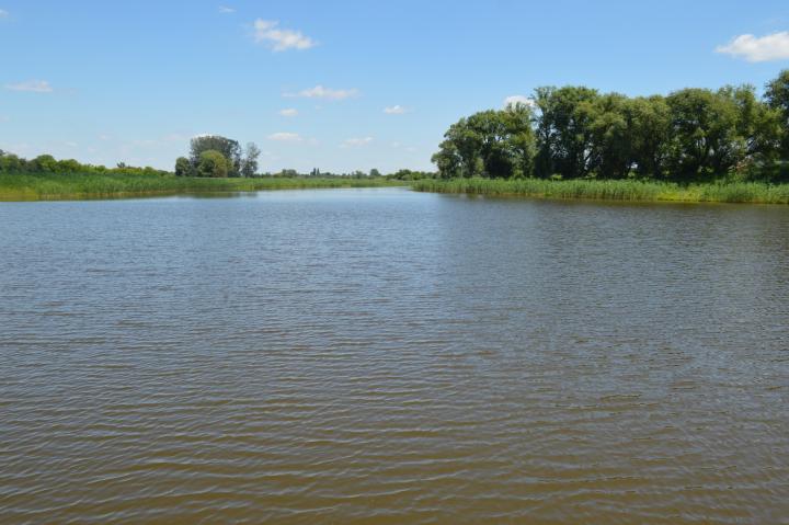 DSC_0113.JPG