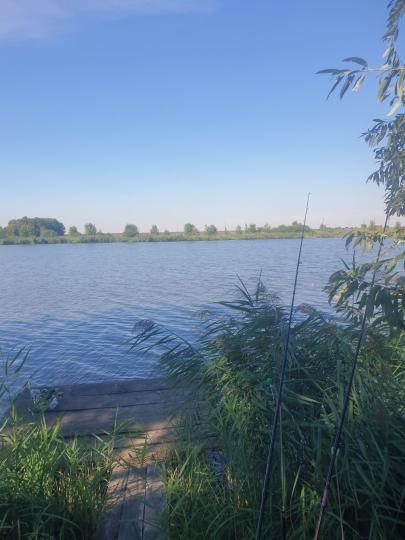 Мальовничий ставок - чудове місце для риболовлі