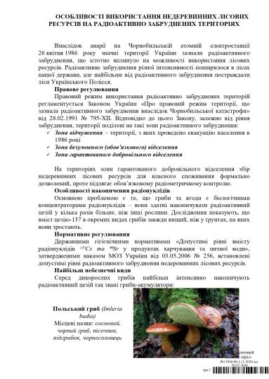 Як використвувати недеревинні лісові ресурси