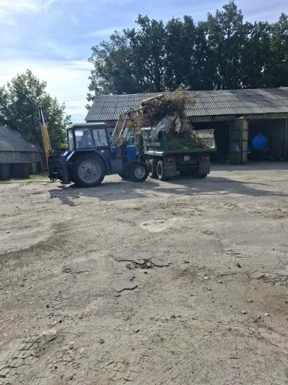 Вивезення негабаритного сміття