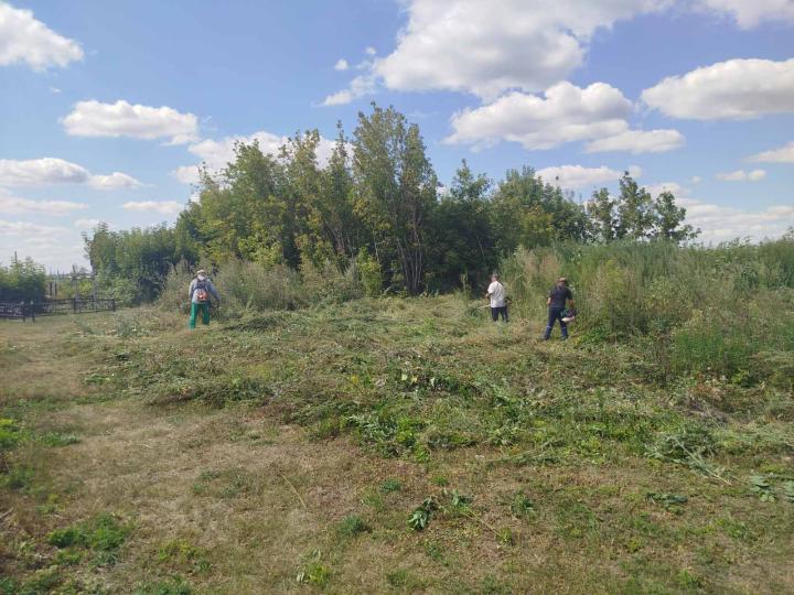 зображення_viber_2026-07-31_16-09-19-338.jpg