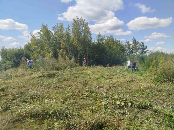 зображення_viber_2026-07-31_16-09-19-446.jpg