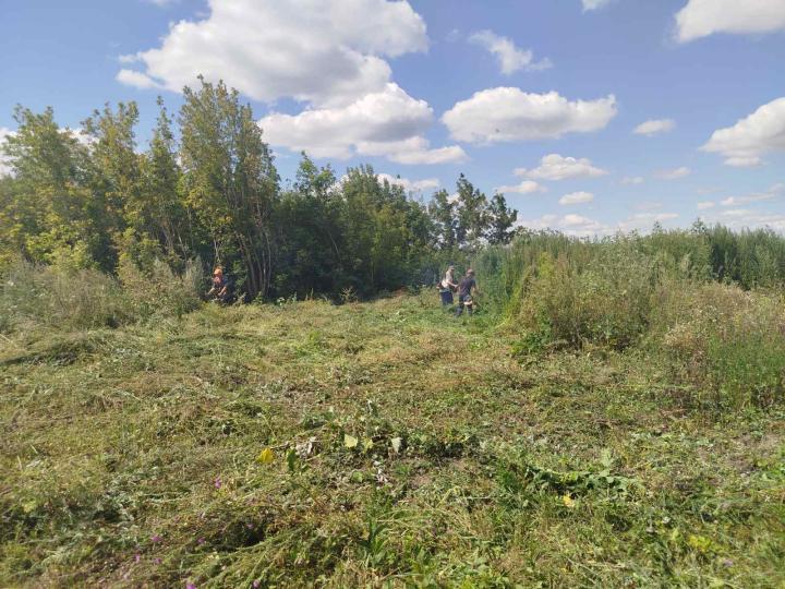 зображення_viber_2026-07-31_16-09-19-786.jpg