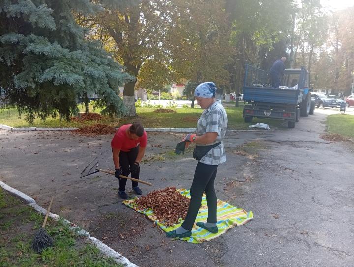 Уже розпочато прибирання опалого листя: завтра осінь