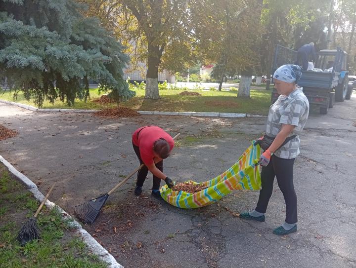 Уже розпочато прибирання опалого листя: завтра осінь