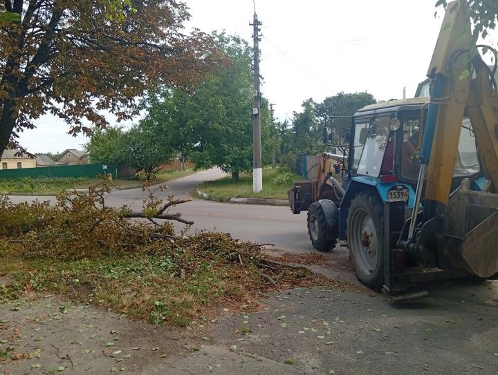 Прибирання повалених дерев по вул. Каштановій